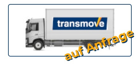 Klein-LKW